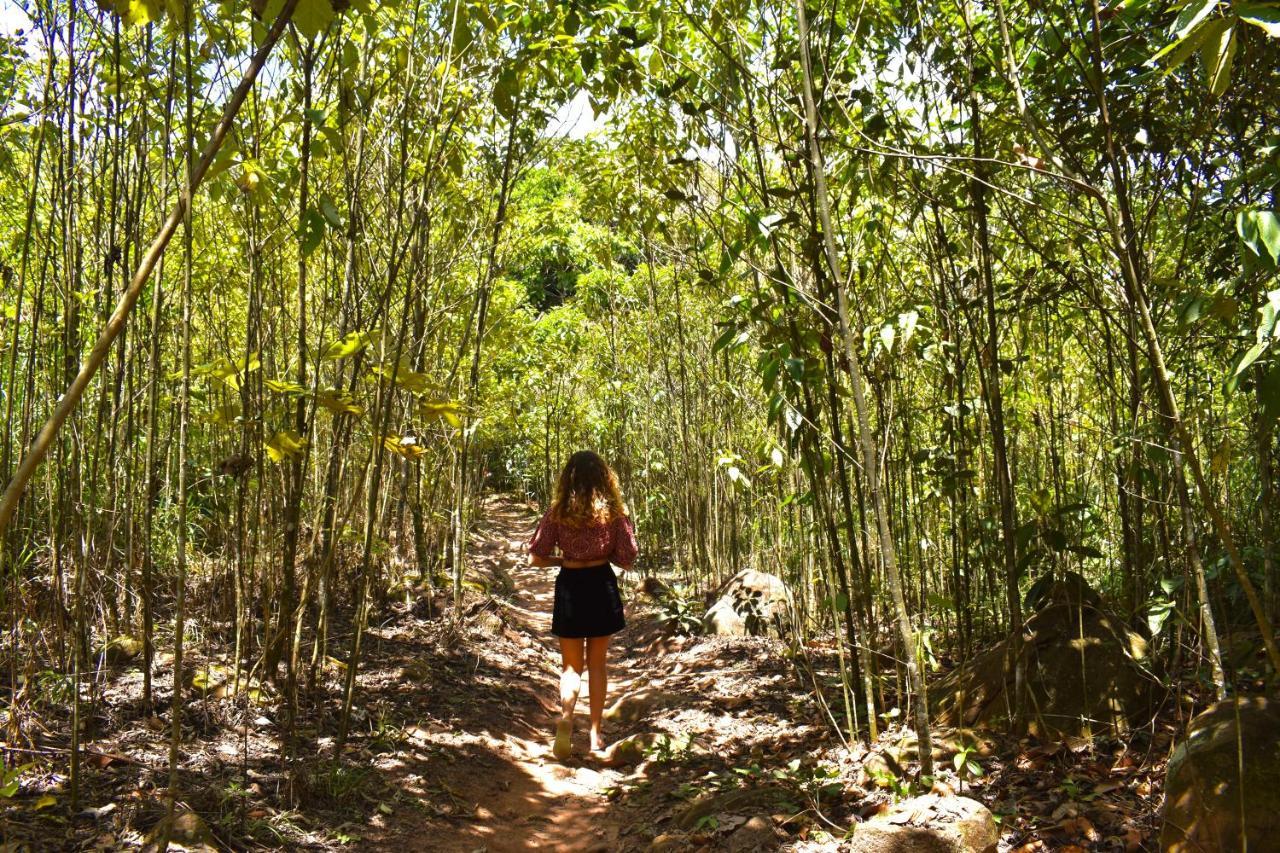 Bosque Guardian Lodge Tarapoto Kültér fotó