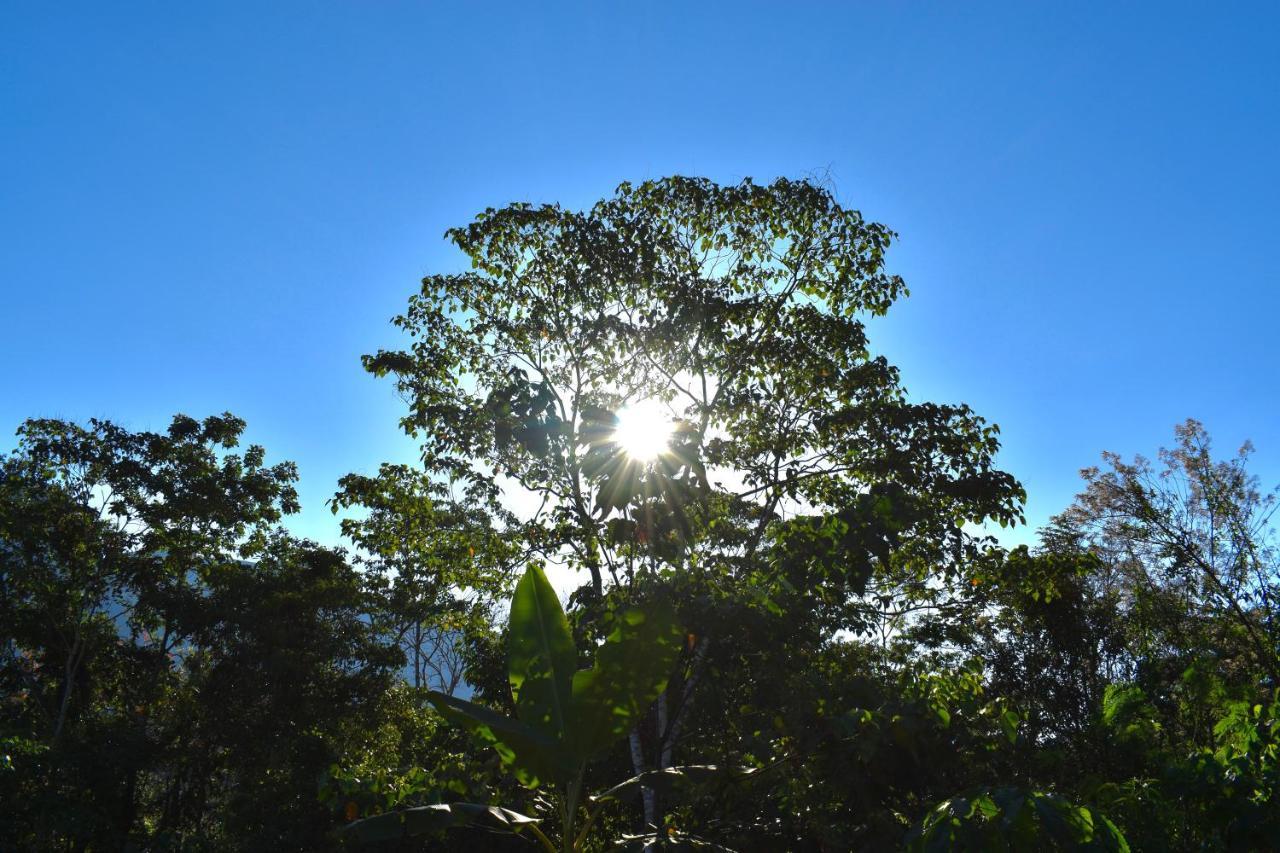 Bosque Guardian Lodge Tarapoto Kültér fotó