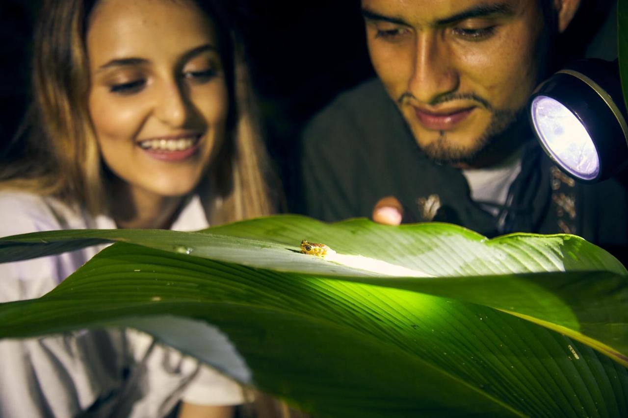 Bosque Guardian Lodge Tarapoto Kültér fotó