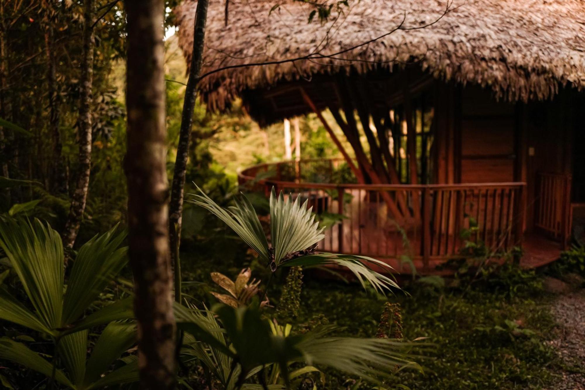 Bosque Guardian Lodge Tarapoto Kültér fotó