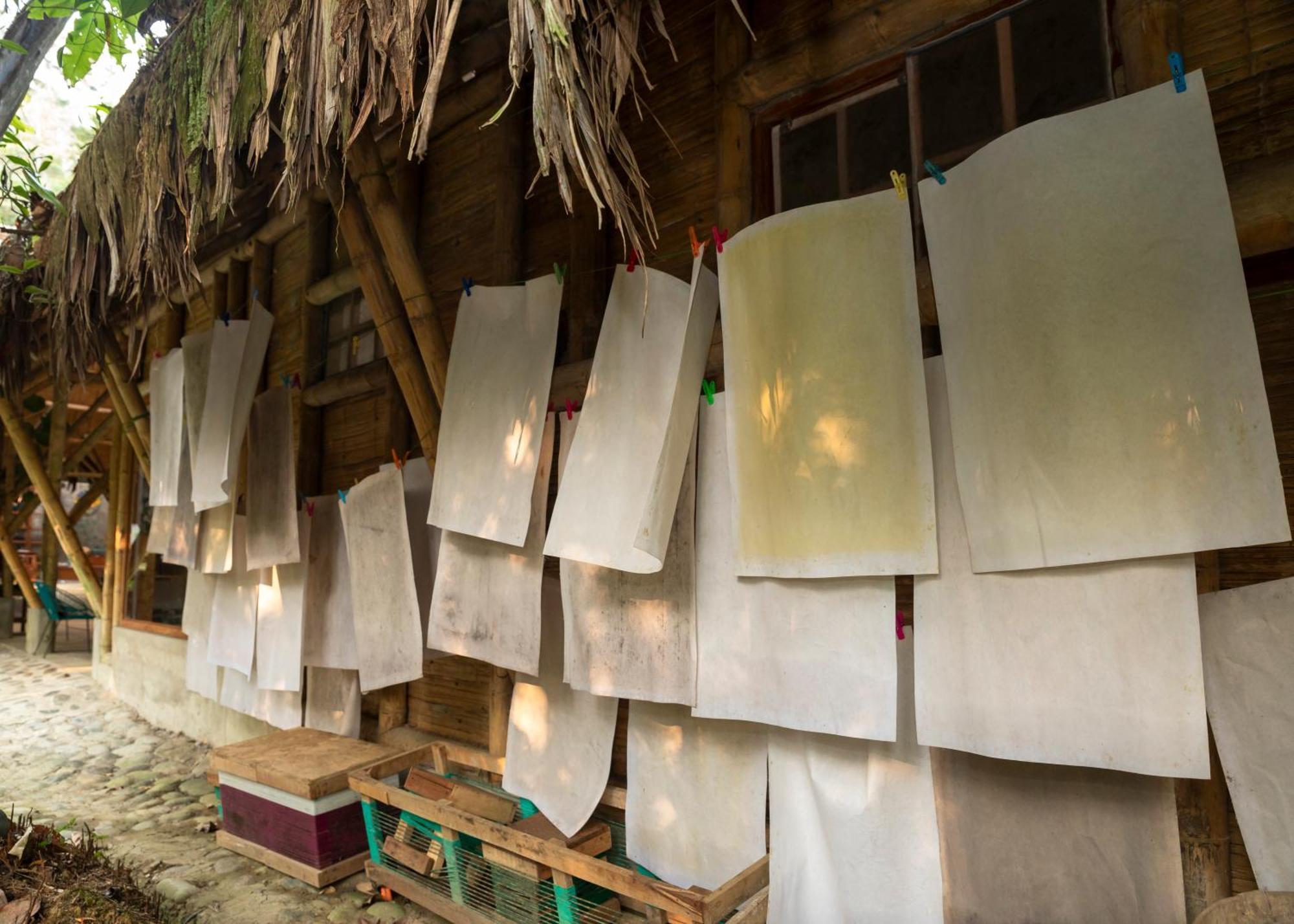 Bosque Guardian Lodge Tarapoto Kültér fotó
