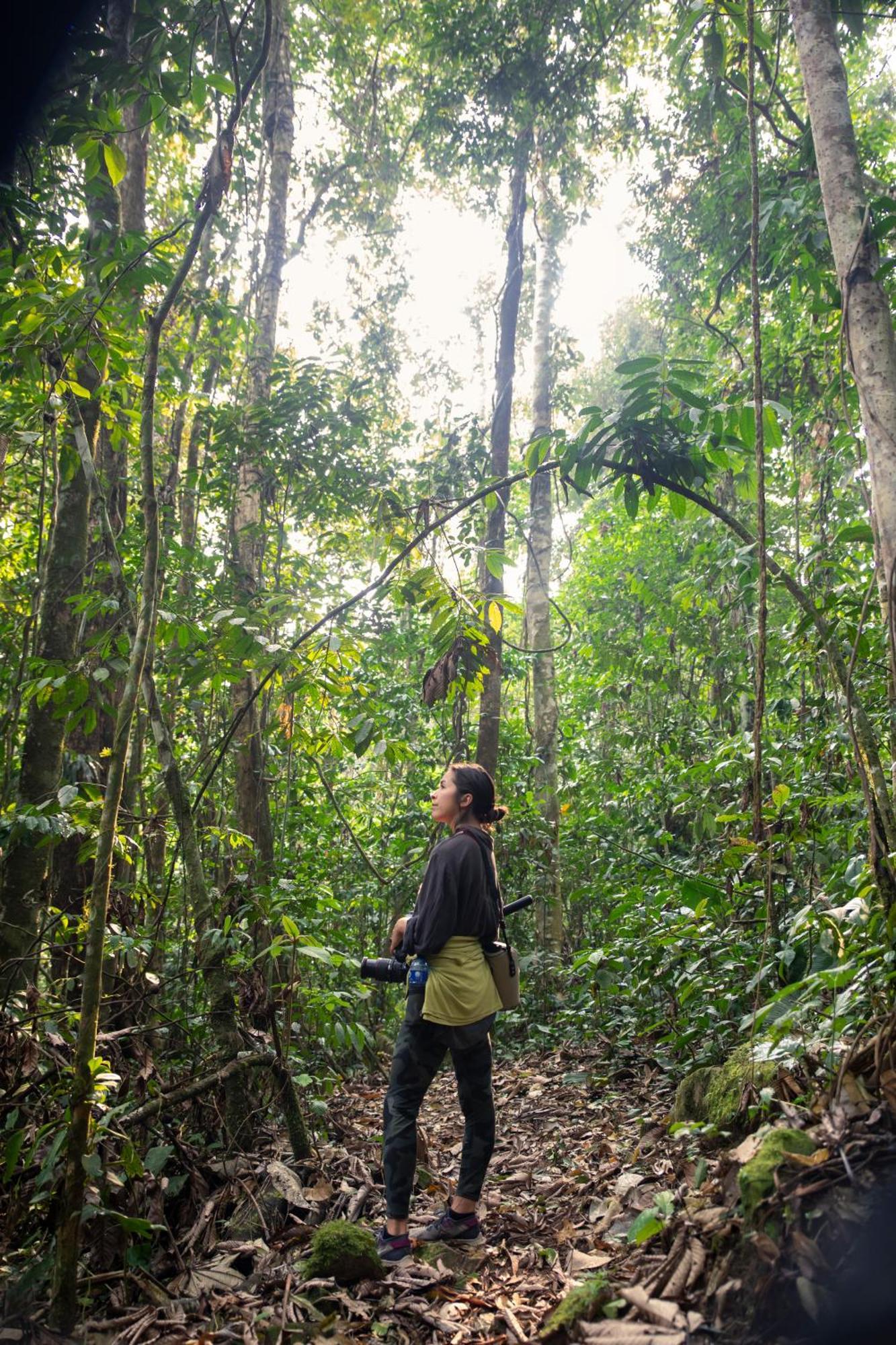 Bosque Guardian Lodge Tarapoto Kültér fotó