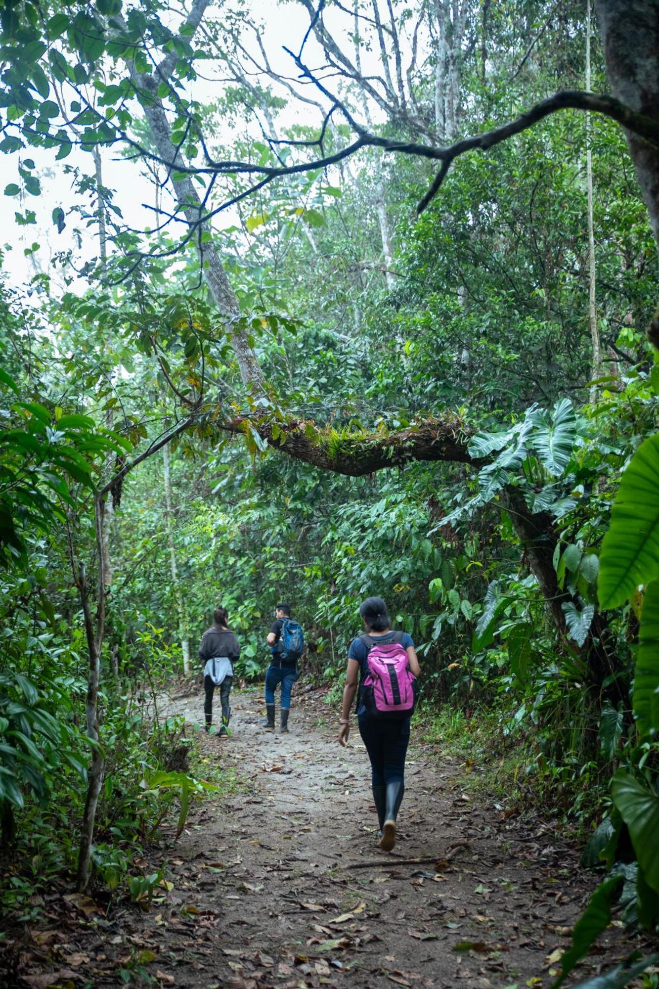 Bosque Guardian Lodge Tarapoto Kültér fotó