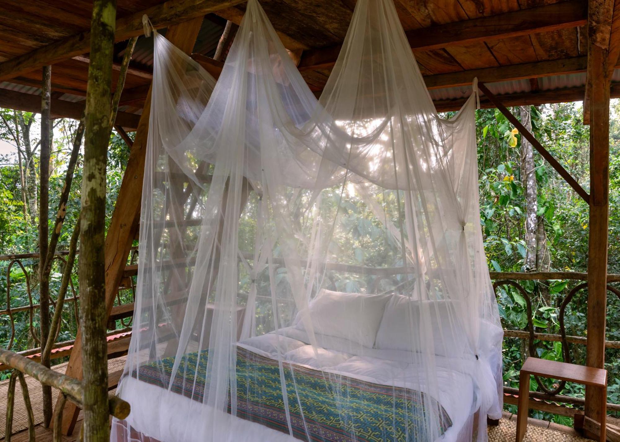 Bosque Guardian Lodge Tarapoto Kültér fotó