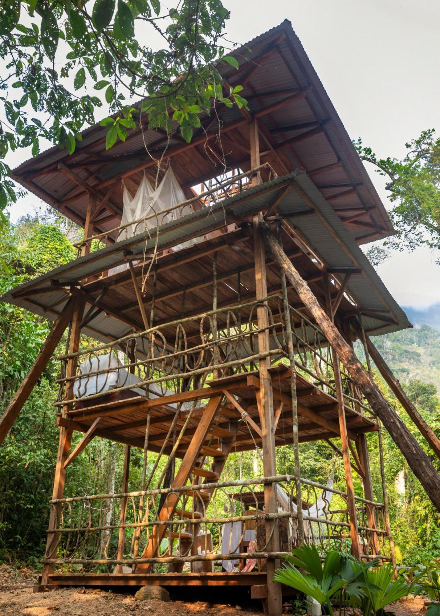 Bosque Guardian Lodge Tarapoto Kültér fotó