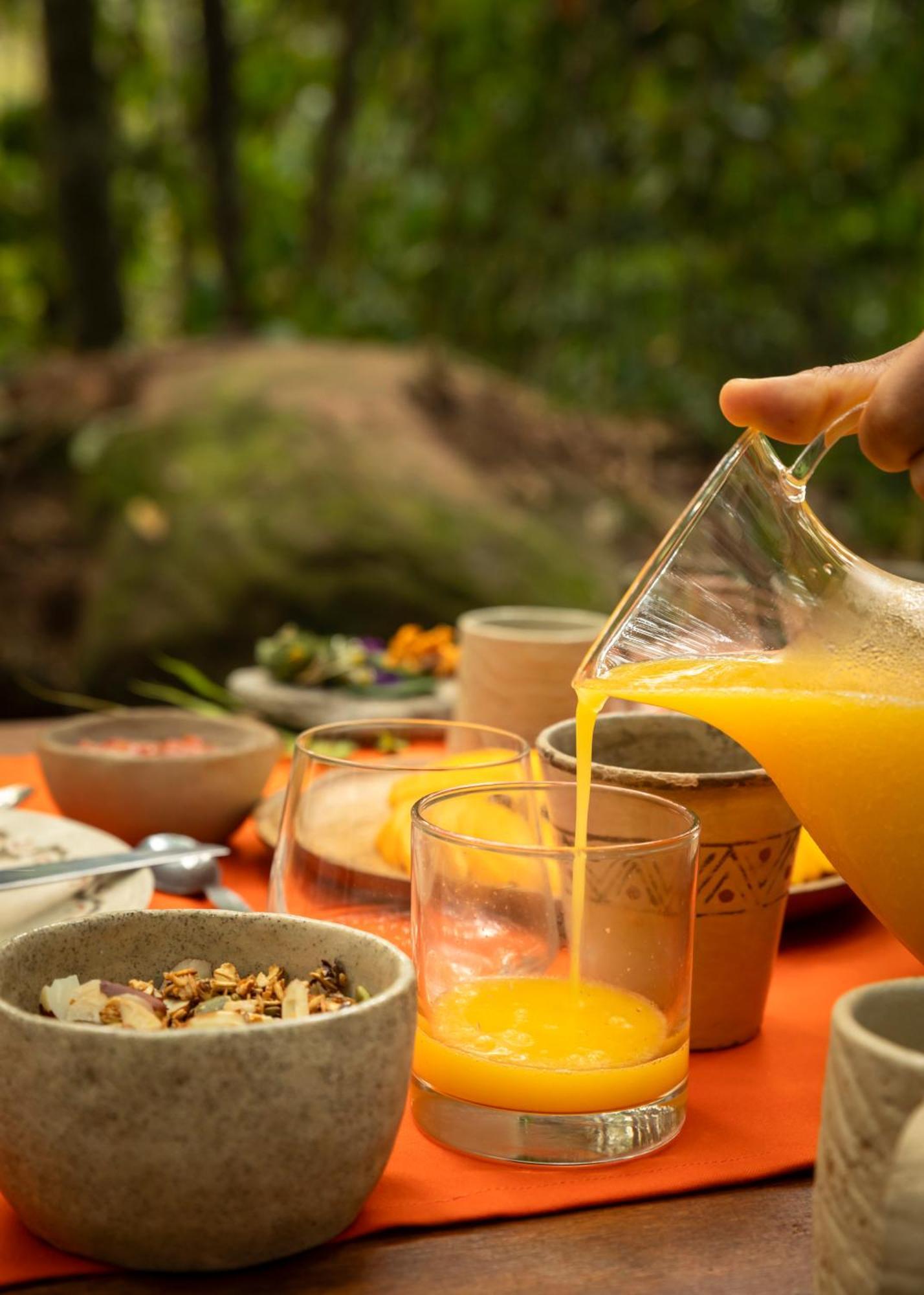 Bosque Guardian Lodge Tarapoto Kültér fotó