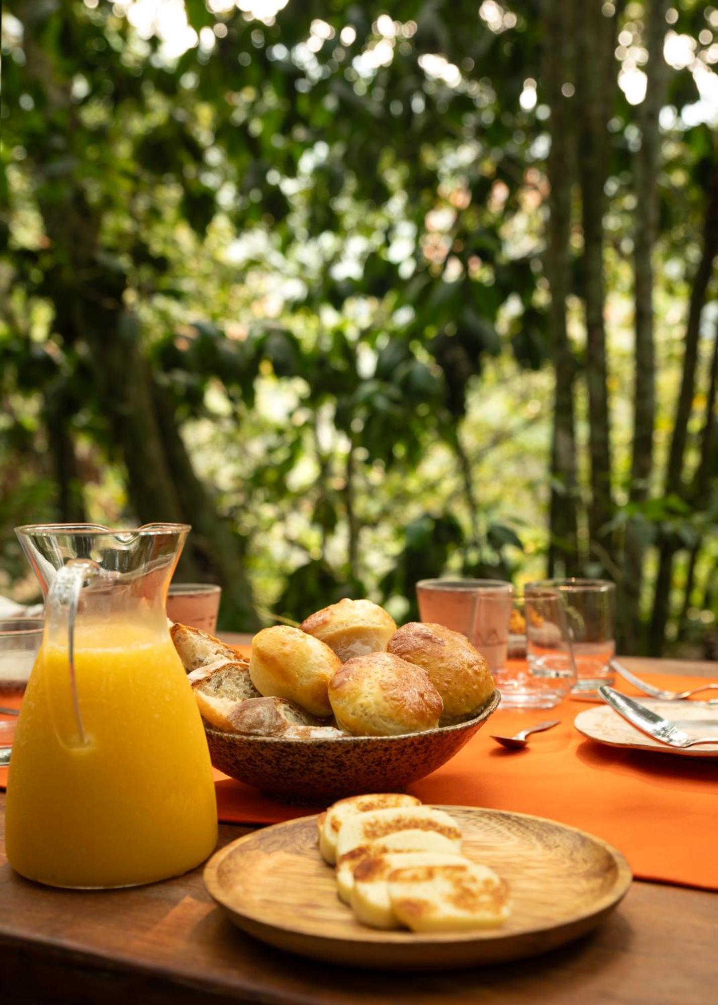 Bosque Guardian Lodge Tarapoto Kültér fotó