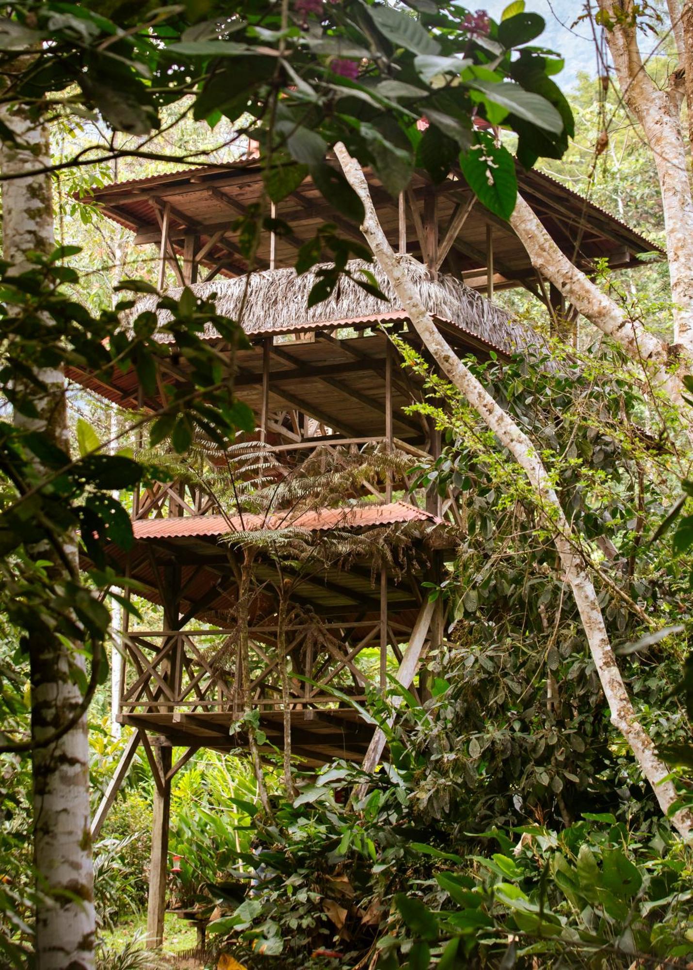 Bosque Guardian Lodge Tarapoto Kültér fotó
