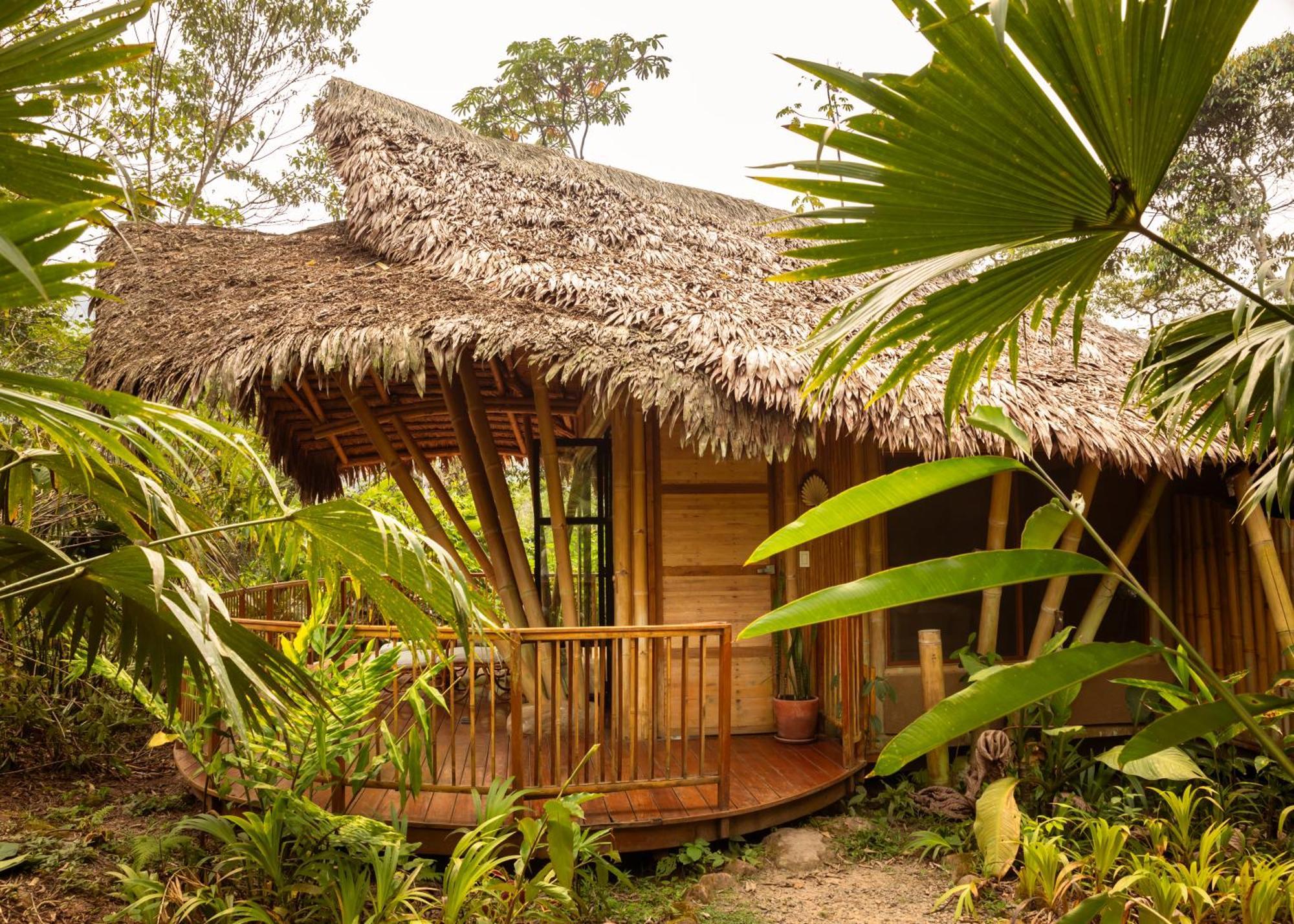 Bosque Guardian Lodge Tarapoto Kültér fotó